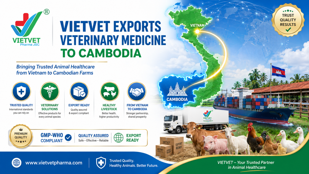 Vietvet Exports Veterinary Medicine to Cambodia Bringing Trusted Animal Healthcare from Vietnam to Cambodian Farms