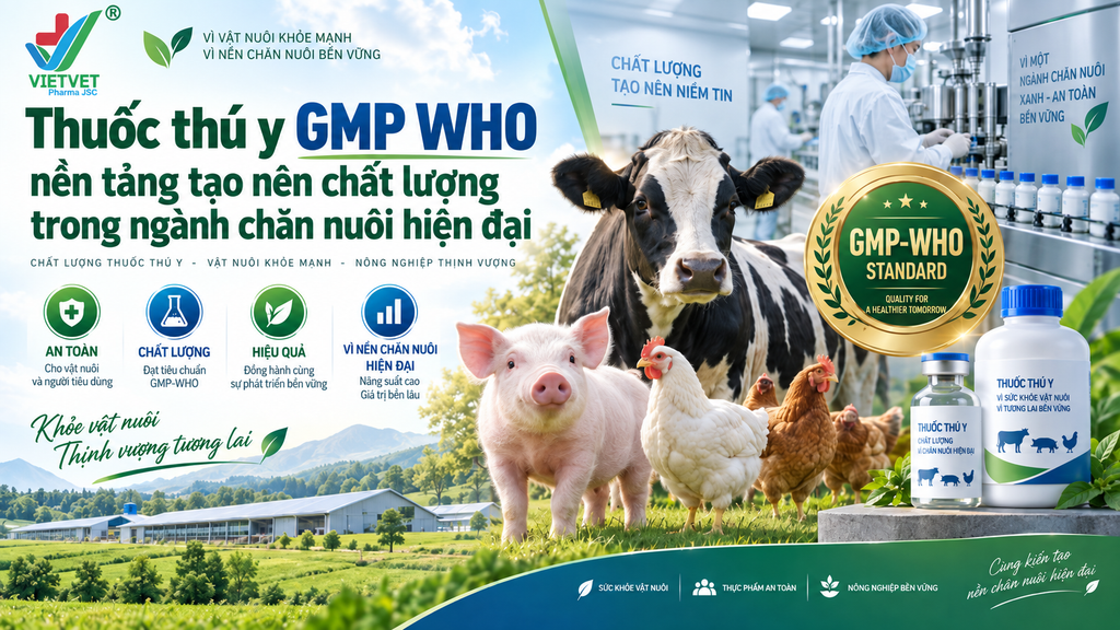 Thuốc thú y GMP WHO nền tảng tạo nên chất lượng trong ngành chăn nuôi hiện đại