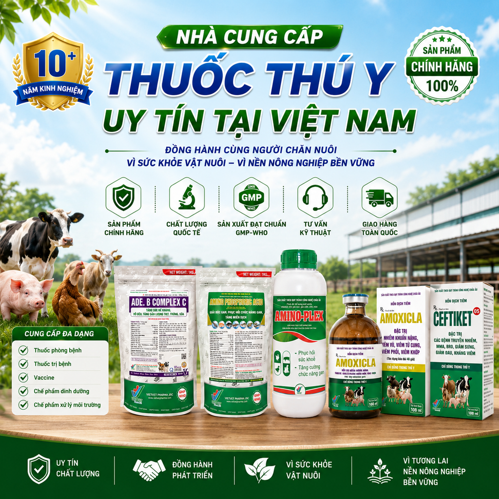 Reputable veterinary medicine suppliers in Vietnam – How to Choose a Trusted Partner for Animal Health
