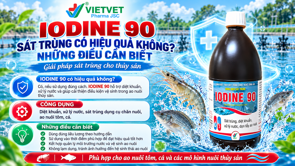 IODINE 90 SÁT TRÙNG CÓ HIỆU QUẢ KHÔNG? NHỮNG ĐIỀU CẦN BIẾT