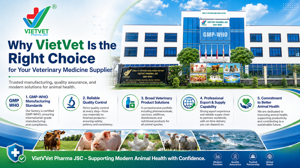 Why VietVet Is the Right Choice for Your Veterinary Medicine Supplier