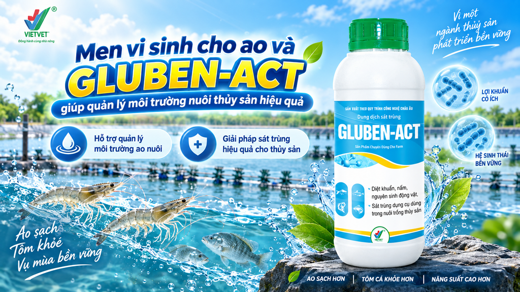 Men vi sinh cho ao và GLUBEN-ACT giúp quản lý môi trường nuôi thủy sản hiệu quả