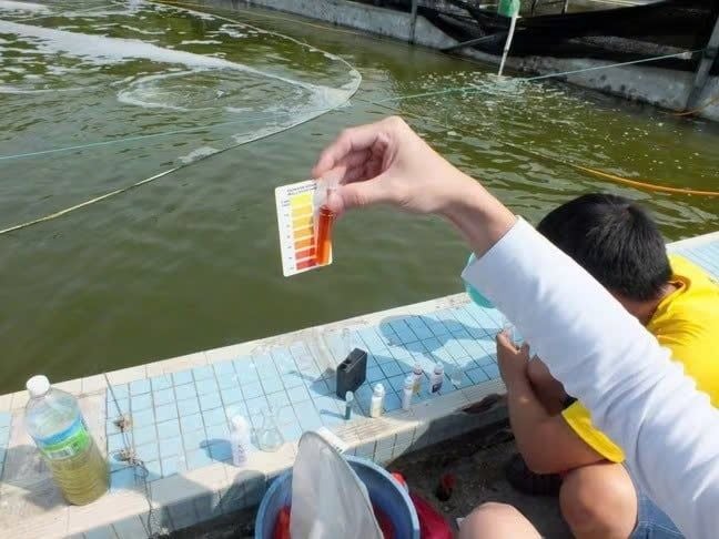 WATER QUALITY MANAGEMENT: AQUACULTURE GUIDE