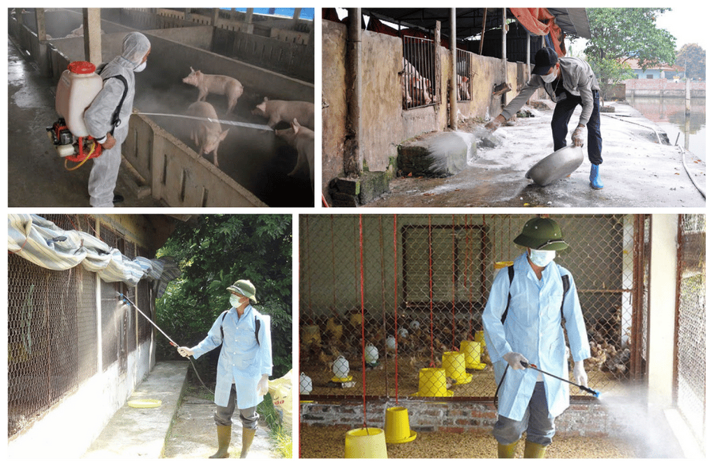 KHỬ TRÙNG IODINE 90 LÀ GÌ? CÔNG DỤNG VÀ CÁCH DÙNG