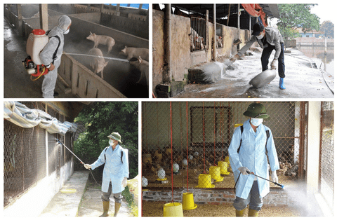 KHỬ TRÙNG IODINE 90 LÀ GÌ? CÔNG DỤNG VÀ CÁCH DÙNG