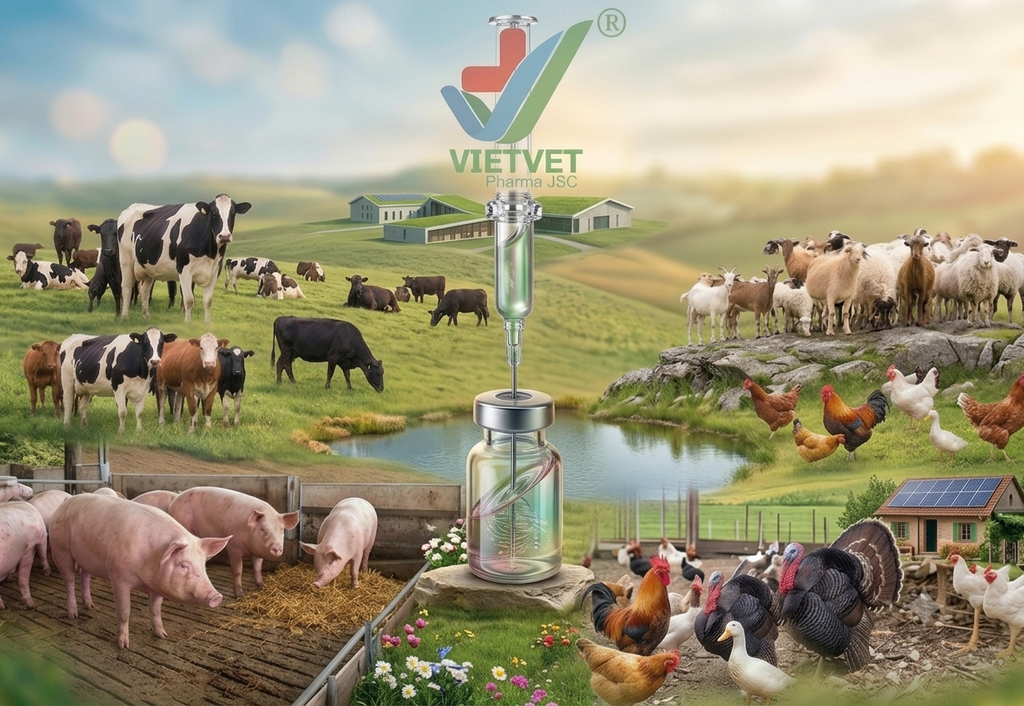 VETERINARY MEDICINE IN VIETNAM: ANIMAL HEALTH SOLUTIONS