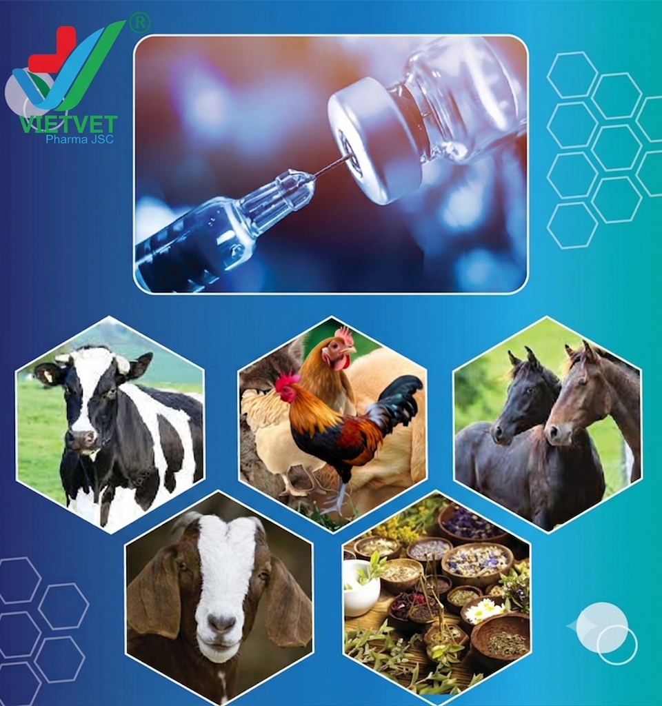 VETERINARY DRUG MANUFACTURERS IN VIETNAM: QUALITY LEADERS
