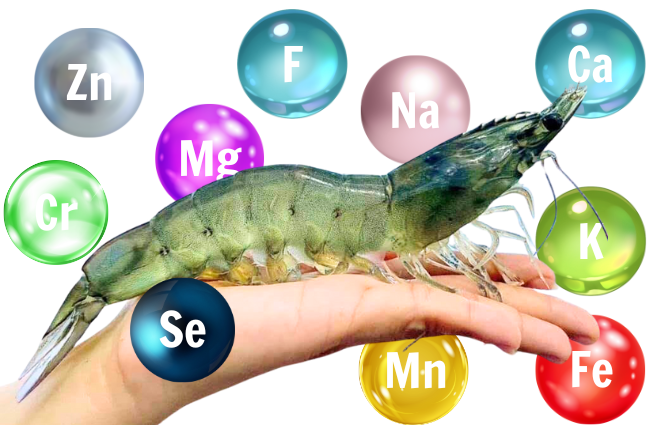 THUỐC BỔ SUNG KHOÁNG CHO THỦY SẢN HIỆU QUẢ