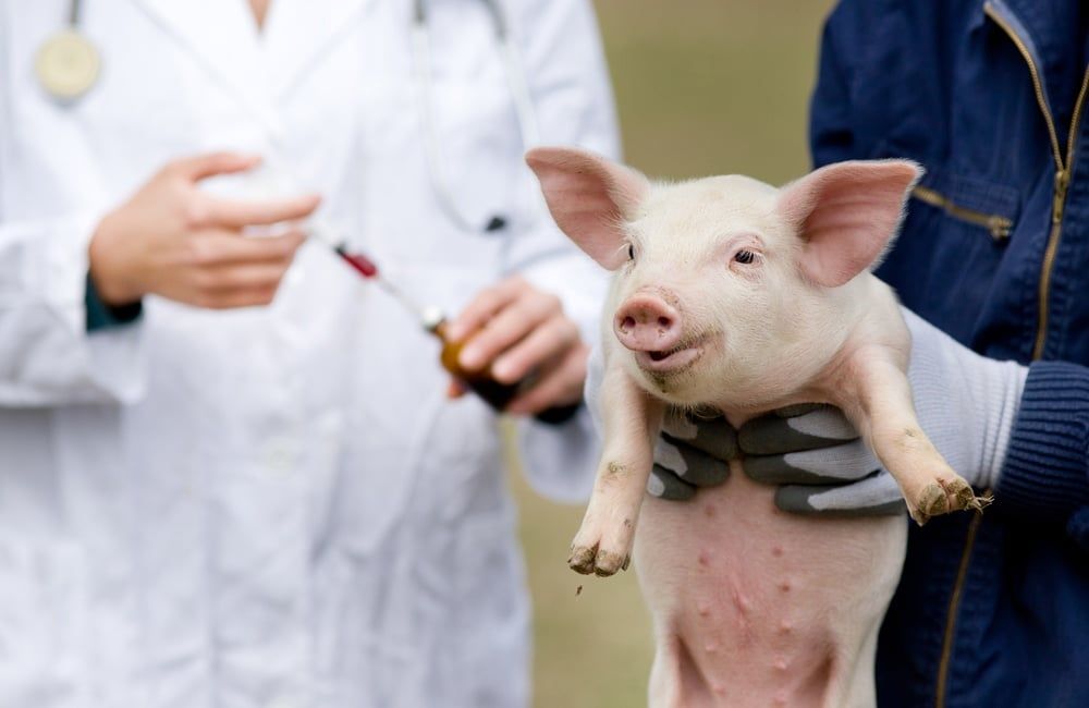 TOP 1 VETERINARY MEDICINE IN VIETNAM