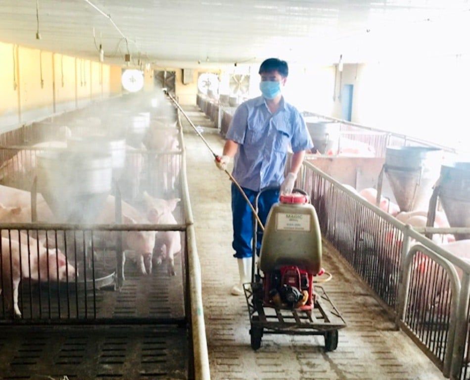 7 SAI LẦM SÁT TRÙNG CHUỒNG TRẠI GÂY DỊCH BỆNH