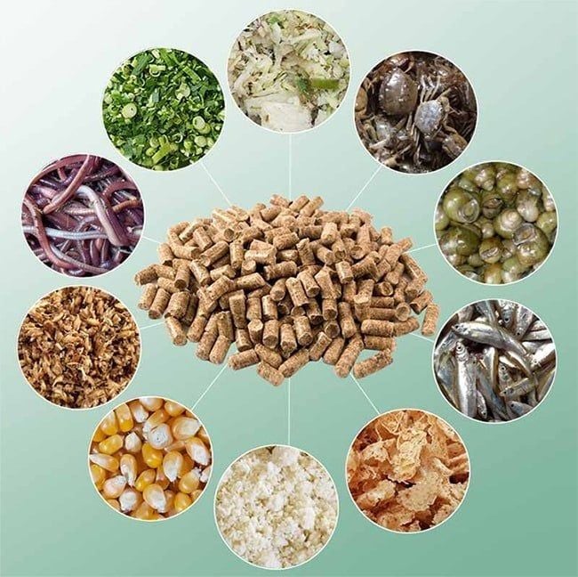 THỨC ĂN BỔ SUNG CHĂN NUÔI: VAI TRÒ VÀ LỢI ÍCH