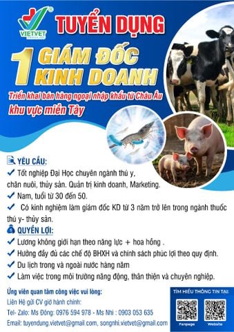 01 Giám đốc kinh doanh Triển khai bán hàng ngoại nhập khẩu từ Châu Âu  khu vực miền Tây