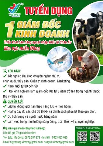 01 Giám đốc kinh doanh Triển khai bán hàng ngoại nhập khẩu từ Châu Âu  khu vực miền Đông