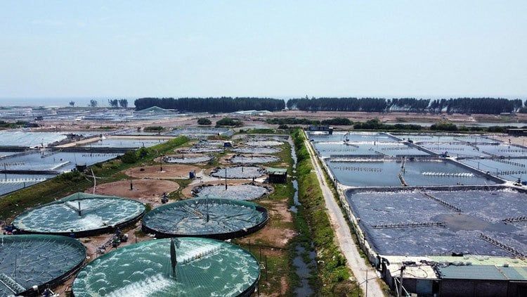 AQUACULTURE MANAGEMENT FOR SEASONAL CLIMATE CHANGES