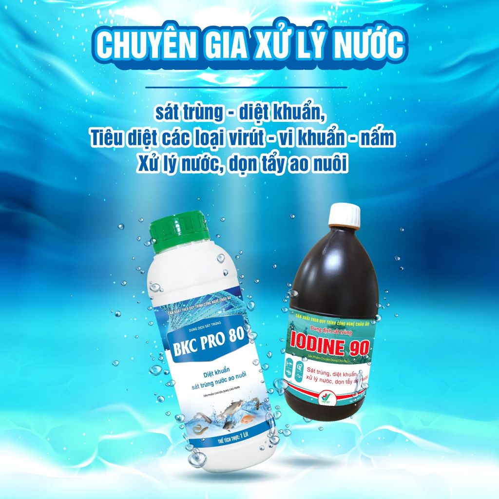 GIẢI PHÁP DIỆT TẢO, NẤM, XỬ LÝ NƯỚC VÀ DỌN AO TRONG NUÔI TÔM, CÁ