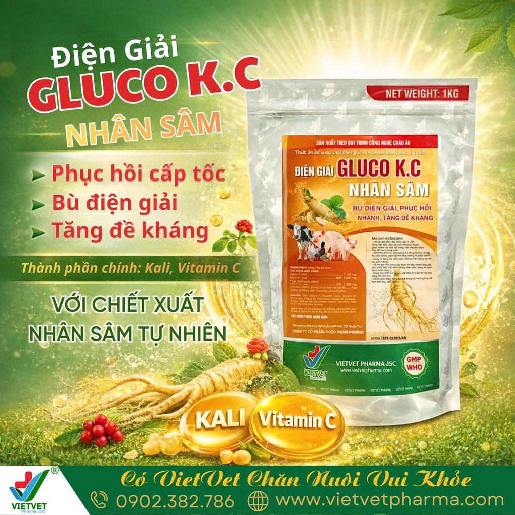 GLUCO KC GIẢI NHIỆT MÙA HÈ
