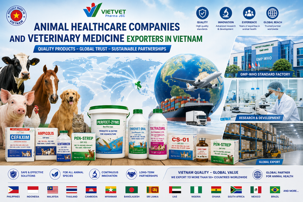 VIETVET Pharma JSC – A Trusted Veterinary Medicine Manufacturer in Vietnam
