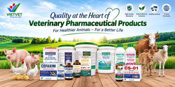 Why choose VIETVET as a pharmaceutical partner?