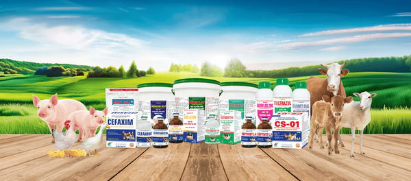 VIETVET – A Trusted Veterinary Medicine Manufacturer in Vietnam