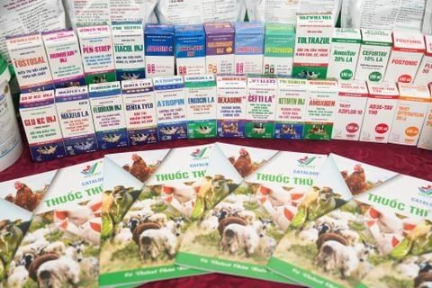 Vietvet Pharma JSC – Veterinary and Aquaculture Products Manufactured at GMP-WHO Facilities