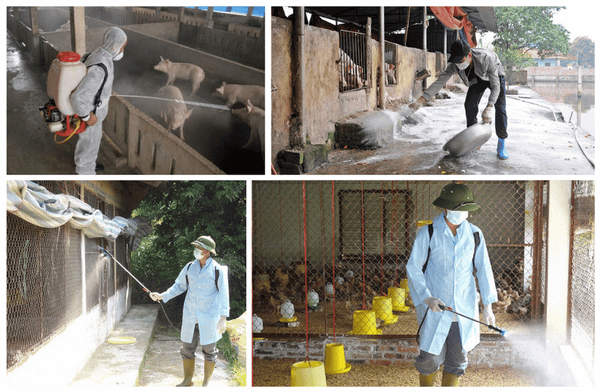 KHỬ TRÙNG IODINE 90 LÀ GÌ? CÔNG DỤNG VÀ CÁCH DÙNG