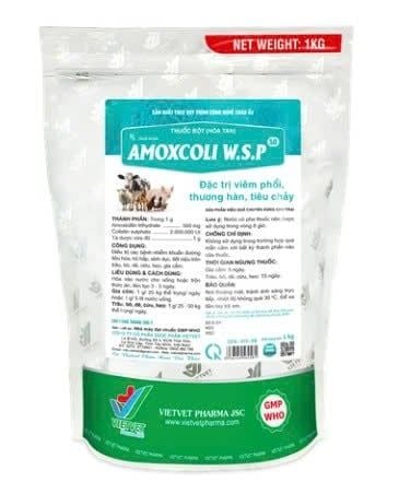 AMOXCOLI W.S.P 50 – Kiểm soát vi khuẩn gây viêm phổi - VIETVET