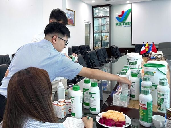 VietVet – Reliable Veterinary Medicine Solutions in Vietnam