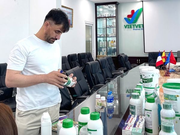 VIETVET – A Trusted Veterinary Medicine Manufacturer in Vietnam