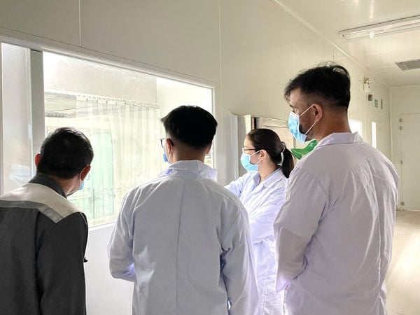 Vietvet Pharma JSC – Your Trusted Livestock Pharmaceutical Partner