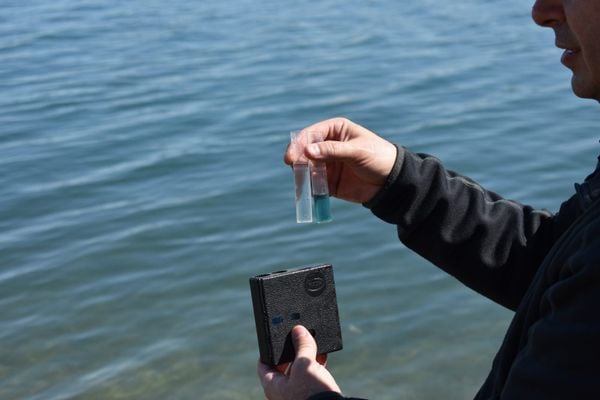 Water Quality Management