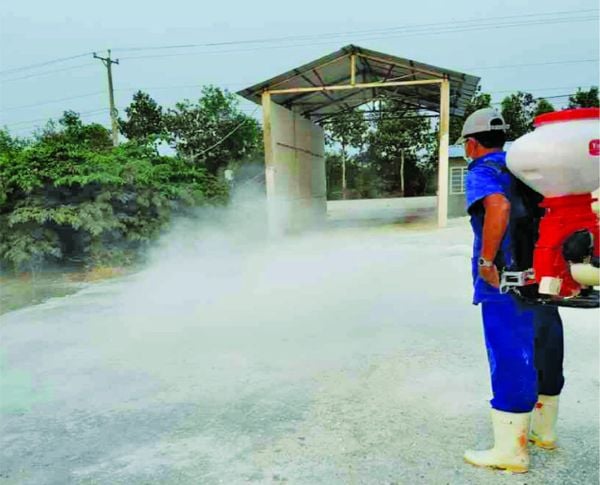 Sát trùng chuồng trại cần thực hiện đồng thời ở lối đi, hố khử trùng và phương tiện vận chuyển để ngăn mầm bệnh xâm nhập.