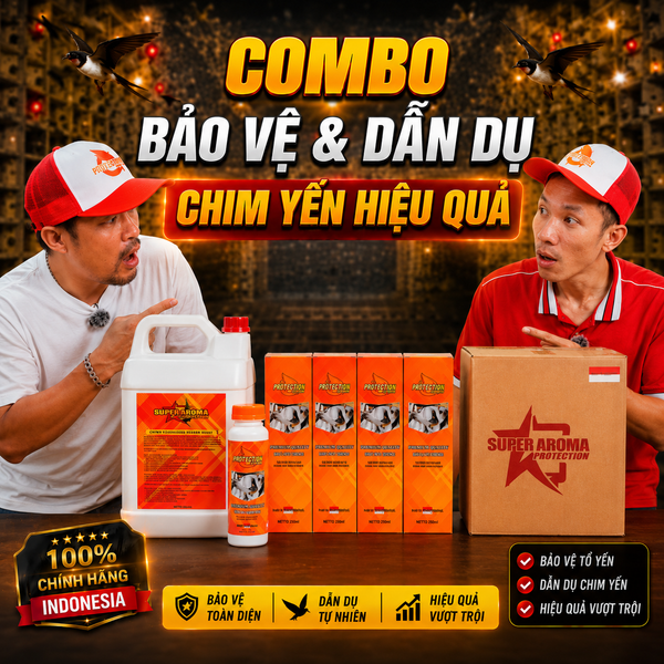 COMBO BẢO VỆ & DẪN DỤ CHIM YẾN HIỆU QUẢ