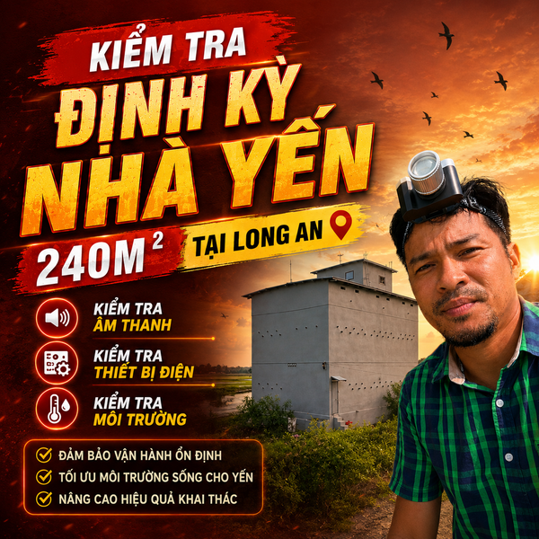 KIỂM TRA ĐỊNH KỲ NHÀ YẾN 240M² TẠI LONG AN – HỆ THỐNG AUDAX INDONESIA HOẠT ĐỘNG RA SAO?