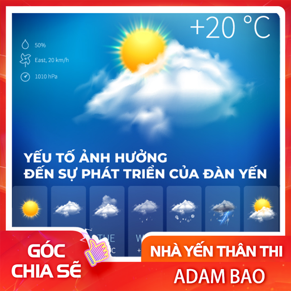 yếu tố ảnh hưởng khá rõ đến sự phát triển của đàn yến