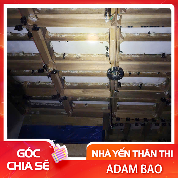 LOA AX-61 của Audax Indonesia