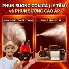 phun sương con gà (ly tâm) và phun sương cao áp