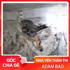 Có 2 lý do cốt lõi mà mùa sinh sản bắt buộc phải kiểm