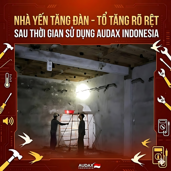 NHÀ YẾN TĂNG ĐÀN – TỔ TĂNG RÕ RỆT SAU THỜI GIAN SỬ DỤNG AUDAX INDONESIA