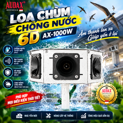 LOA CHÙM NGOÀI TRỜI 6D AX-1000W