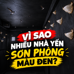 ĐỪNG ĐỂ KHE HỞ TRONG NHÀ YẾN THÀNH NƠI TRÚ ẨN CỦA SINH VẬT GÂY HẠI