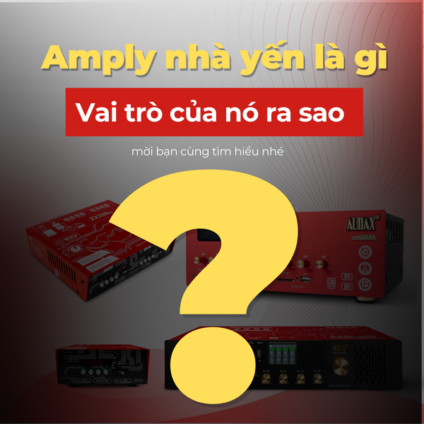 Âm ly nhà yến là gì? Vì sao nhiều nhà yến mới xây không có yến dù đã mở âm thanh?