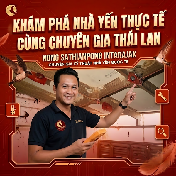 KHÁM PHÁ NHÀ YẾN THỰC TẾ CÙNG CHUYÊN GIA THÁI LAN NONG SATHIANPONG INTARAJAK