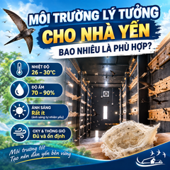 MÔI TRƯỜNG LÝ TƯỞNG CHO NHÀ YẾN  BAO NHIÊU LÀ PHÙ HỢP?
