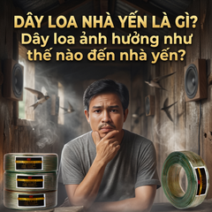 Dây Loa Nhà Yến Là Gì? Dây loa ảnh hưởng như thế nào đến nhà yến?