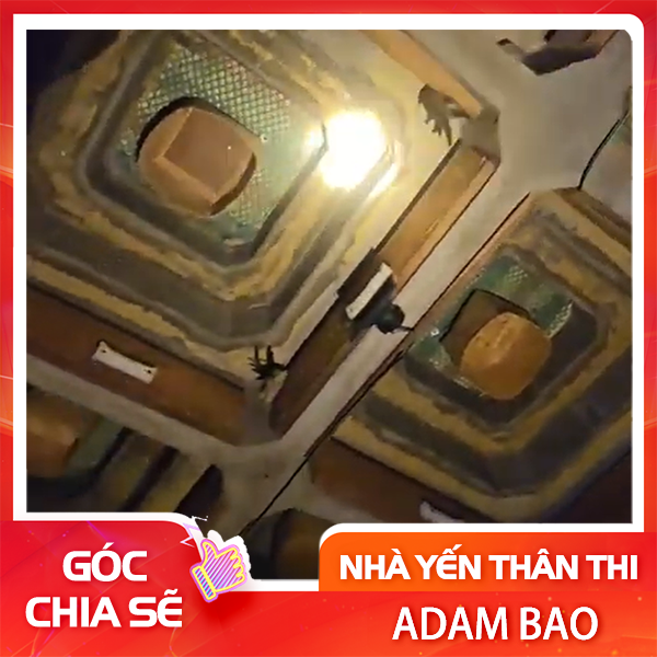 NHÀ YẾN LAM ĐÁ TỔ ONG ĐA TẦNG DO CTY NÂNG CẤP AUDAX INDONESIA CHÍNH HÃNG.
