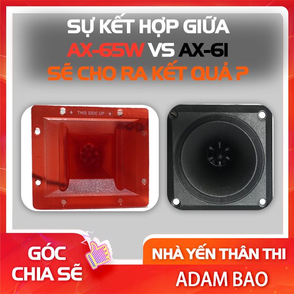 Sự kết hợp AX-61 vs AX-65W