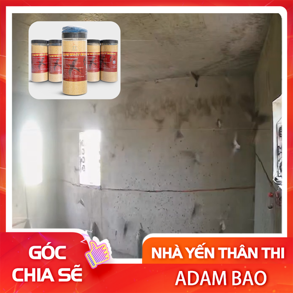 Lợi ích việc tạo côn trùng nhân tạo cho nhà yến