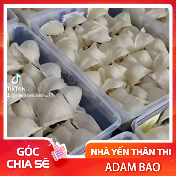 CHẤT LƯỢNG TỔ YẾN INDONESIA, MALAYSIA, THÁI LAN, CAMBODIA VÀ VIỆT NAM CÓ GIỐNG NHAU KHÔNG ?