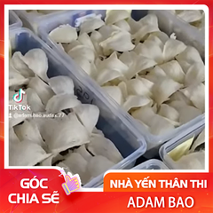 CHẤT LƯỢNG TỔ YẾN INDONESIA, MALAYSIA, THÁI LAN, CAMBODIA VÀ VIỆT NAM CÓ GIỐNG NHAU KHÔNG ?