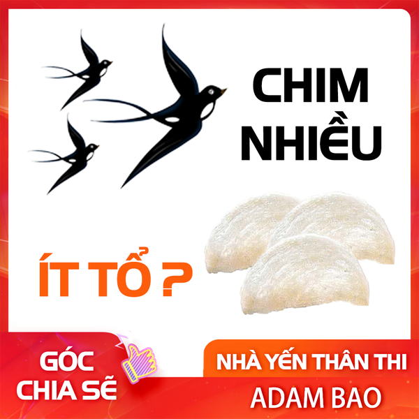 Tại sao chim về nhiều nhưng tổ rất ít ?